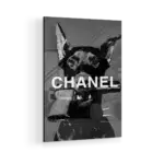 Designer-Dog-STRAIGHT-CANVAS-3X4