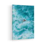 Designer-Surf-II-STRAIGHT-CANVAS-3X4