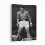 Float-like-a-butterfly-STRAIGHT-CANVAS-3X4